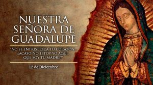 la-milagrosa-virgen-de-guadalupe